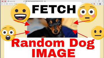 How to FETCH DATA from an API using JavaScript