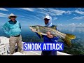 The Villages Deep Sea Fishing Club - Snook Attack