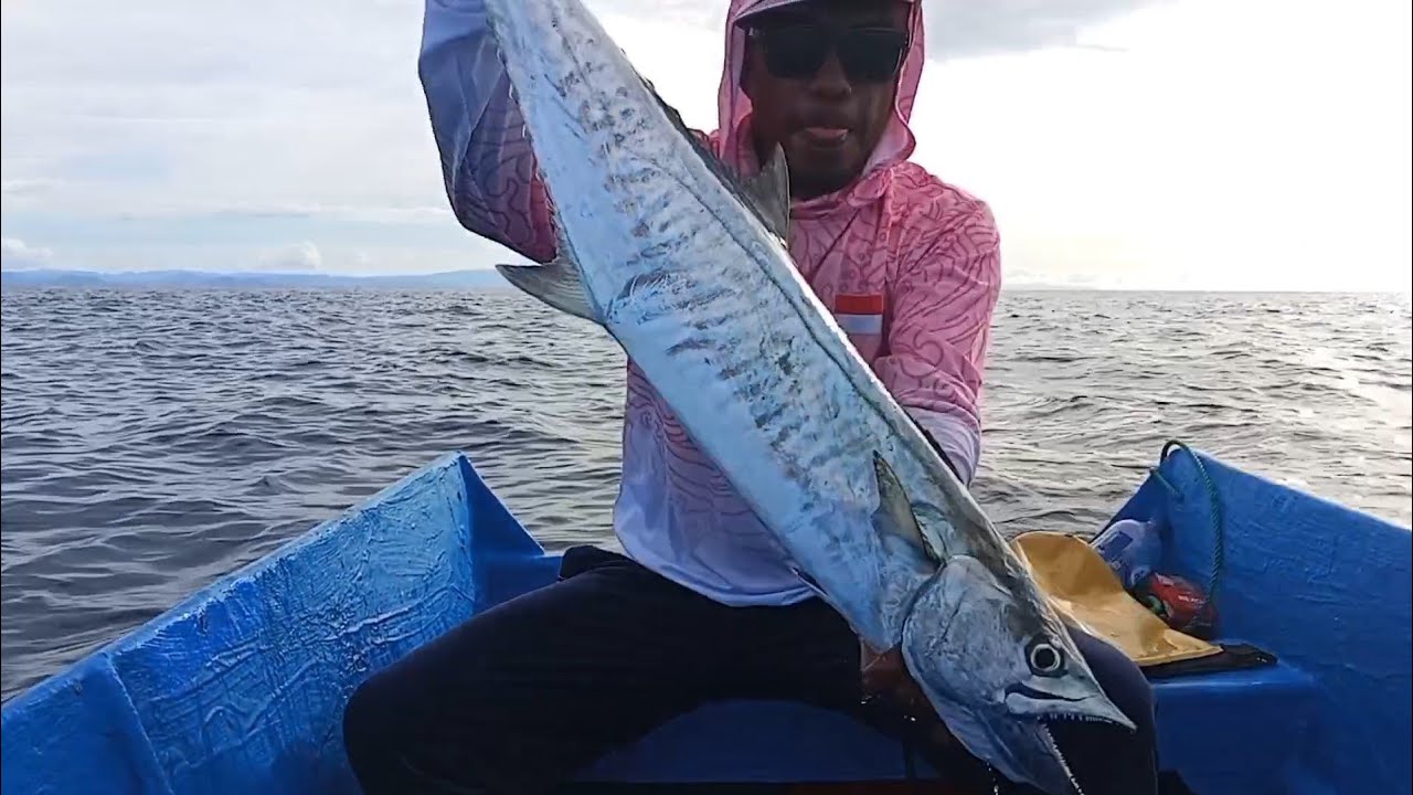 MANCING TONDA IKAN TENGGIRI PAKAI TEHNIK UMPAN HIDUP 