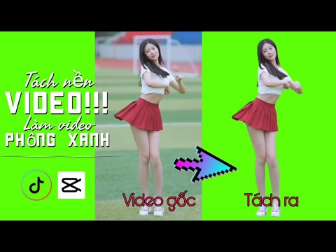 Video nền xanh tạo nên không gian tự nhiên, tươi mới cho người xem. Những video ấn tượng này được sử dụng trong các sự kiện, quảng cáo, hay đơn giản là để khiến ta thư giãn, giảm stress. Bạn sắp xem bức ảnh nào có kèm theo video nền xanh? Hãy nhanh tay bấm xem ngay!