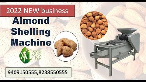 Almond Processing Cleaning, Hulling Shelling & Processing grading and cracking solution