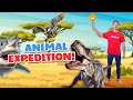 Animals for kids 50 minutes of fun educationals for kids  baba blast