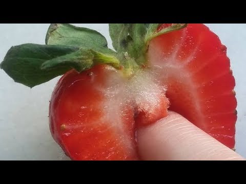 Por que el tomate es una fruta