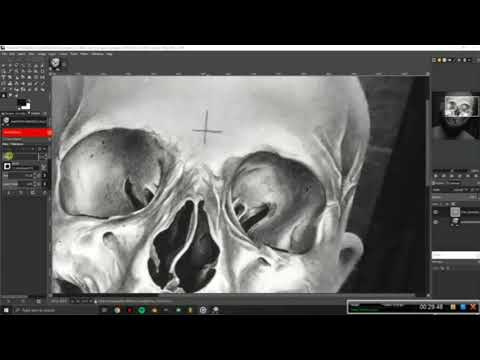 How To Make Your Face a Skull ! [CATSVANSBAGS]