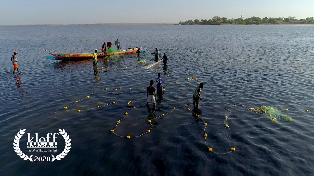 Protected by Prawns | bioGraphic