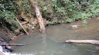 Yos Hav Zoo Tua Tsiaj Noj Ntsis