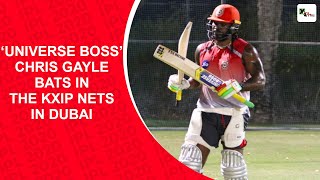 IPL 2020: Lull before the storm: ‘Universe Boss’ Chris Gayle bats in the KXIP nets in Dubai