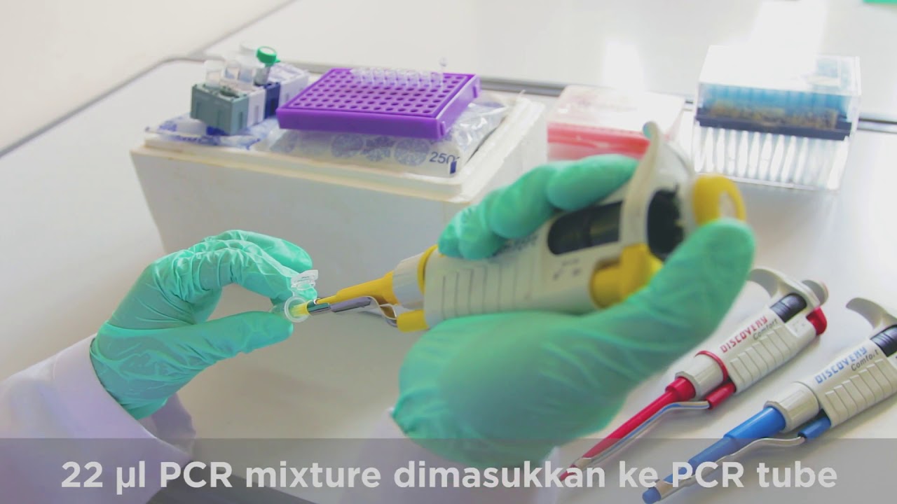 LABVENTURE MIB arfiant PCR Elektroforesis