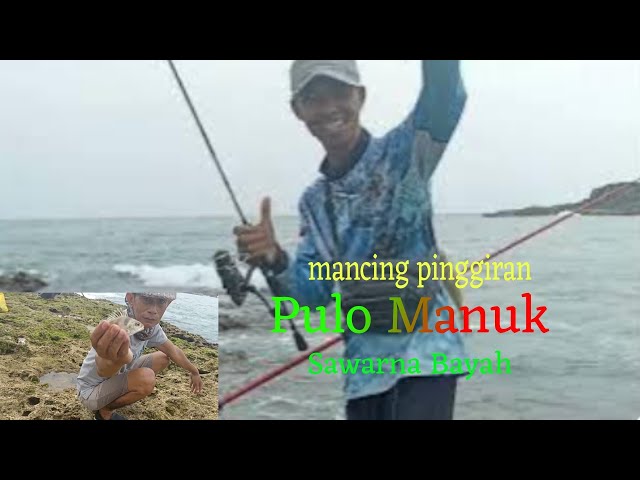 tempat mancing pinggiran pantai Pulo Manuk Sawarna Bayah || spot gacor banyak tarikan ikan class=