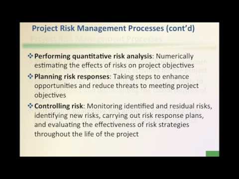 Project Risk Management IFS233