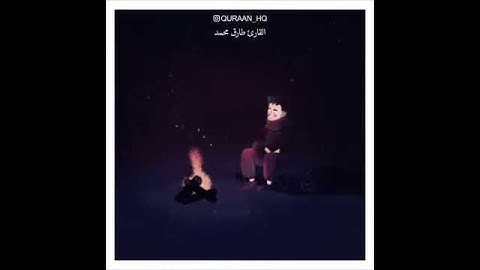 اجمل حالات وأتس أب قرأن .....القارئ طارق محمد