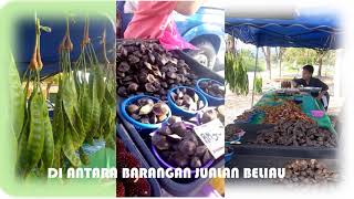 USAHAWAN SG KLAH OPIE