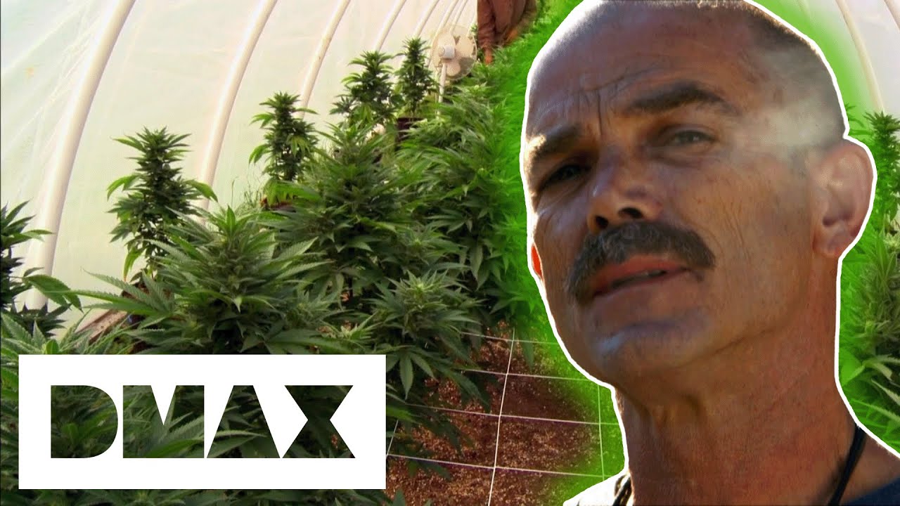 Drug Dealer Delivers $9000 of Weed To An Ex-Police Officer! | Weed Country
