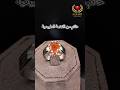 Natural Gomet Silver Ring