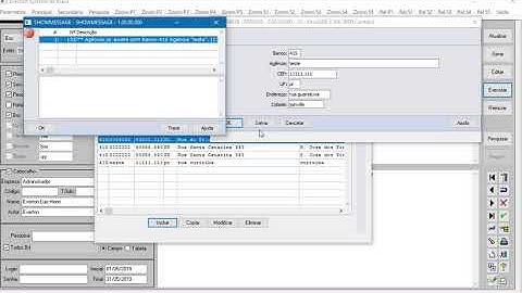 Totvs Datasul cadastro pai x filho - EverSoft