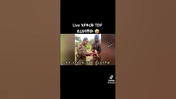 አይ ወታደር 