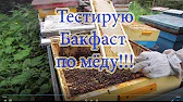 ПАСЕКА ВЛАДИМИРА РЯБУХИНА