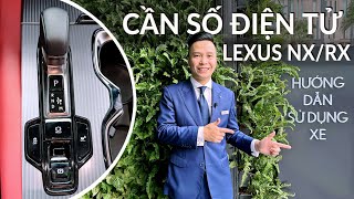 Hướng Dẫn Sử Dụng Cần Số Điện Tử LEXUS RX 2023, Lexus NX 2023 | Lê Minh Thành