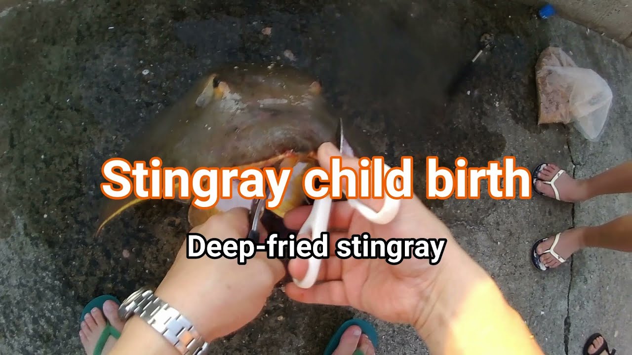 Deepfried stingray YouTube