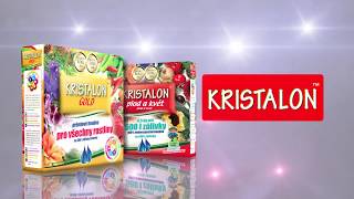 KRISTALON - "Je to on!"