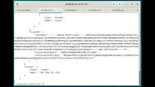 Docker Fundamentals Module 09 Lab 06 part 3 - Inspect docker swarm nodes