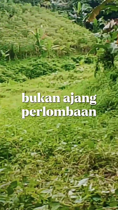 kapan ya teman tem bisa gerasai seperti mereka