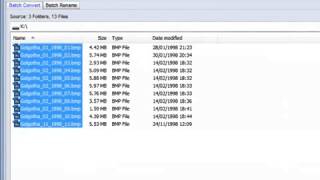 FastStone Photo Resizer 2 5 tutorial483