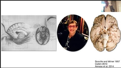 1 Introduction to Emergence