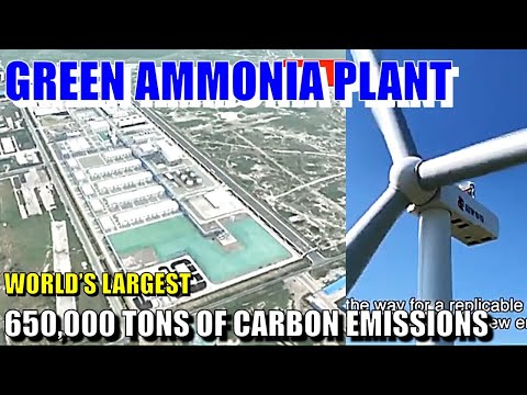 World’s Largest Green Ammonia Plant Goes Live — China Cuts 650,000 Tons of Carbon Emissions Annually