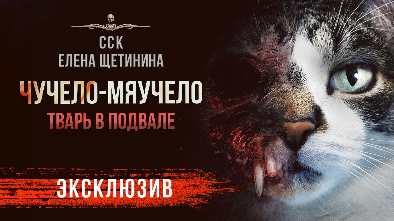 ЧУЧЕЛО-МЯУЧЕЛО | Истории На Ночь | Рассказ | АУДИОКНИГА - YouTube