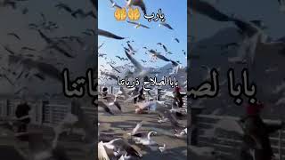 دعاء: اللهم يا سامع الصوت، ويا سابق الفوت...