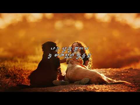 불안함은 눈에 뵈는 게 없게 하지: 양파 - Drive 가사