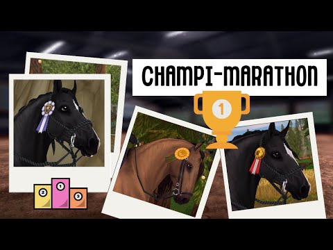 CHAMPI - MARATHON? | Star Stable [SSO]