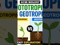 Phototrophism and Geotrophism Explained in 45Seconds!🍃🍃🍃