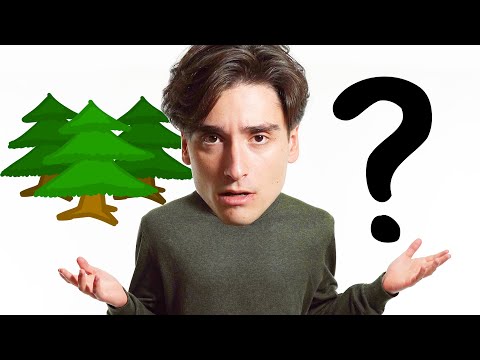 Video: Care este dimensiunea pădurii temperate?