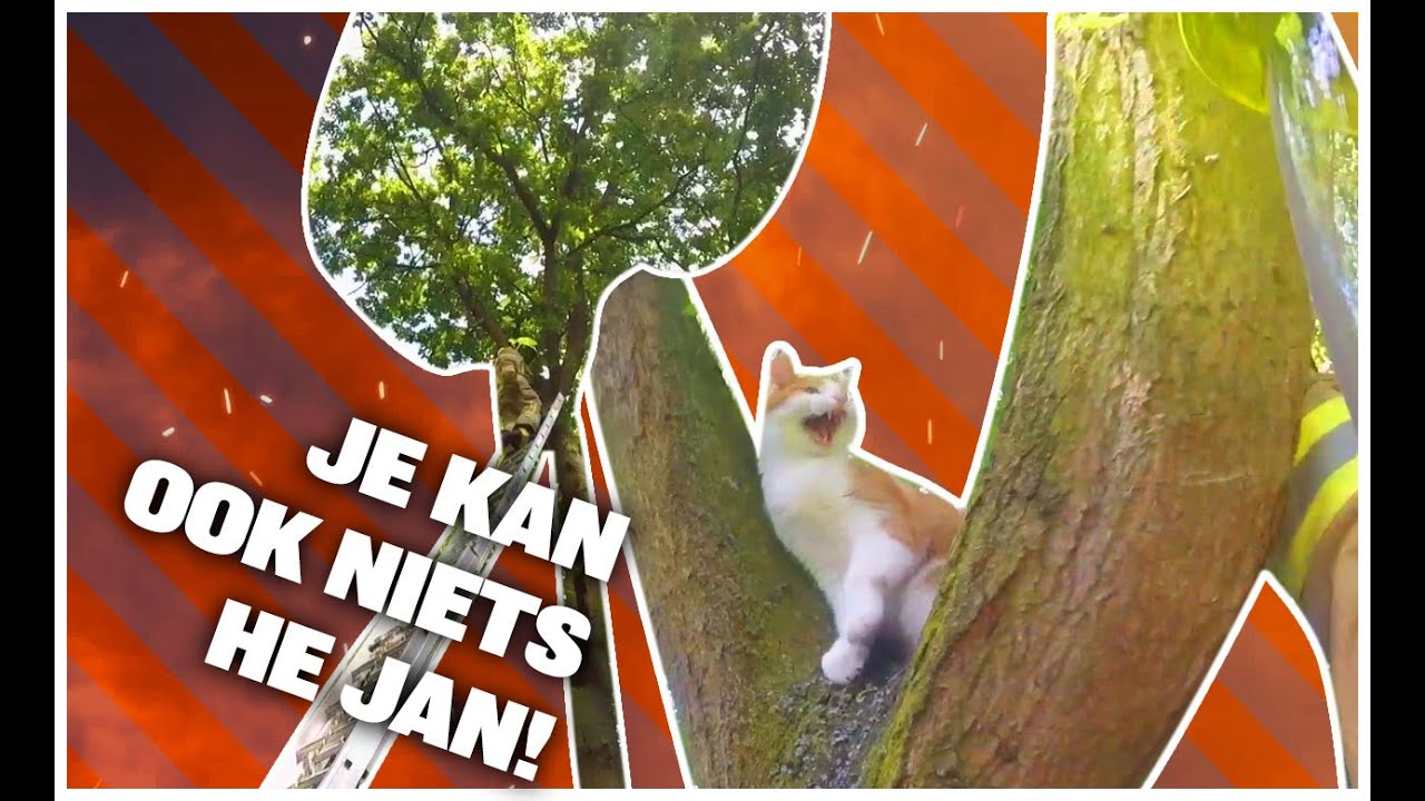 De brandweer is niet voor de poes | Als De Brandweer - YouTube