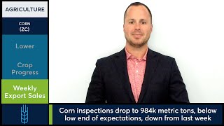 Corn slid as inspections missed and soybeans weakened — 7/22/25