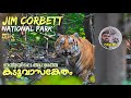 Jim corbett national park  dhikala forest stay and safari