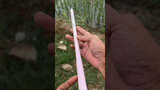 Tegek lentur, cocok untuk micro fishing dari Phoenix Land.