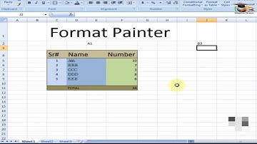 how to Use Format Painter - Microsoft Excel in Urdu/Hindi