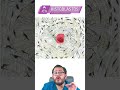 HISTOLOGÍA | OSTEONA | TEJIDO OSEO