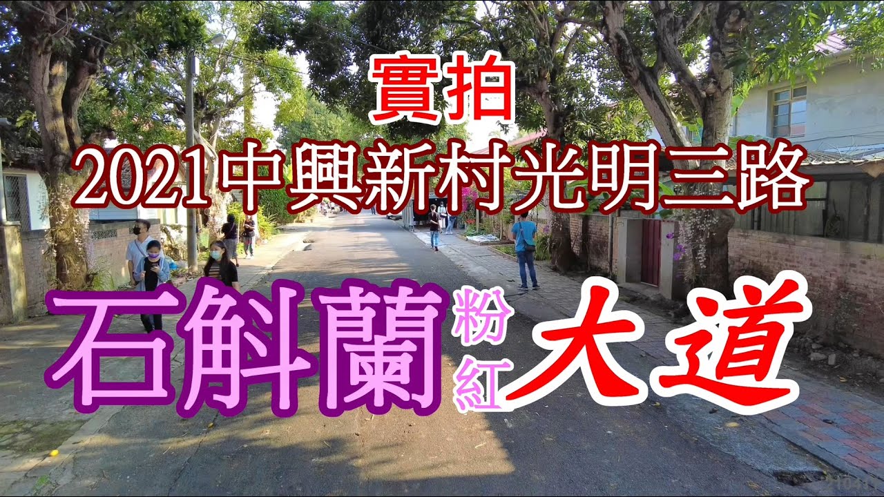 實拍 2021中興新村光明三路 石斛蘭粉紅大道4k Youtube