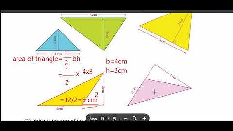 STD 7 MATHS CHAPTER 10 AREA OF TRIANGLES PART 1  PAGE 135 TO 142 NEW SYLLABUS 2024