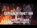 SAYI GALBI TAHET BIH SLOWED REVERB GB ILYASS SAYI GALBI TAHET BIH SLOWED REVERB GB ILYASS