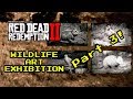 Red Dead 2 | Wildlife Art Exhibition Walkthrough - Part 3 (chipmunk, oriole, robin and opossum)