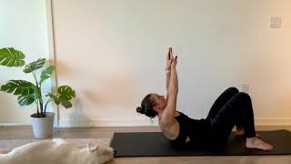 Ab Pulse Ups