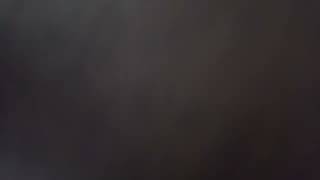 4 Mixed Liquids Sloshing And Noisy Belly Protest