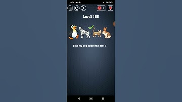 Brain test Have guts to pass it? level 156 walkthrough