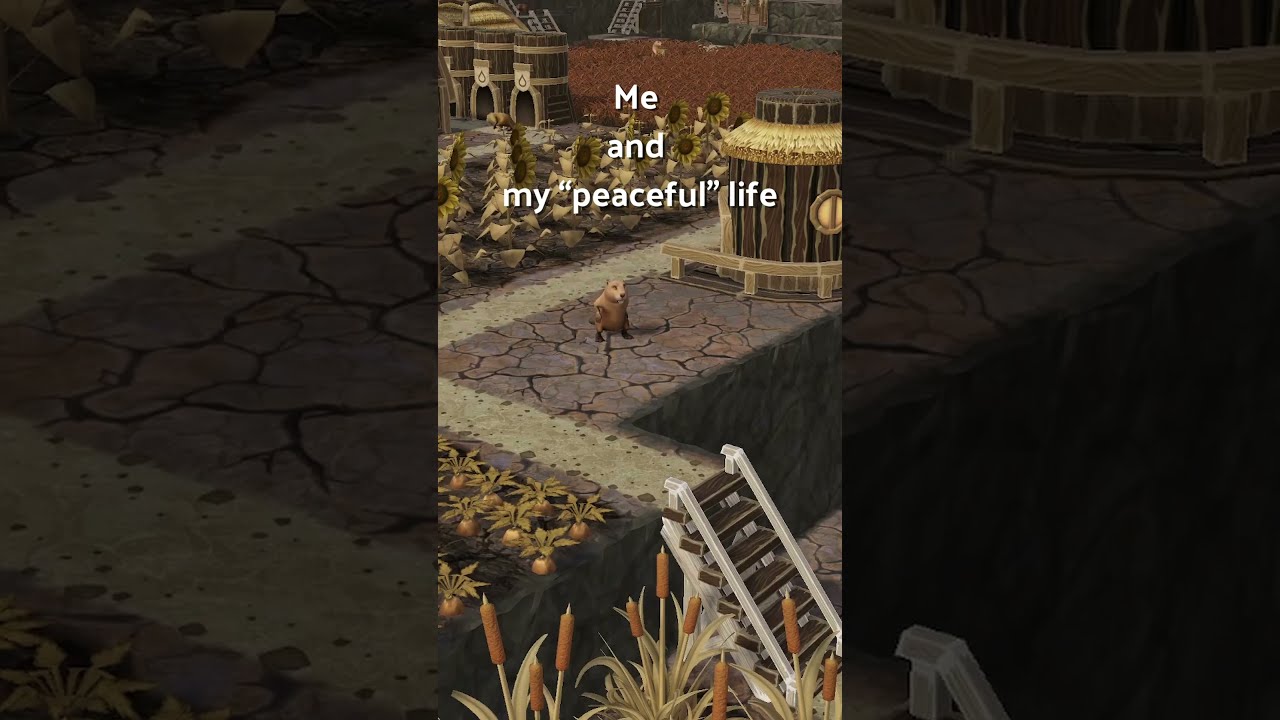 “It’s a peaceful life” - thought the beaver, just before a badtide hit?😢  