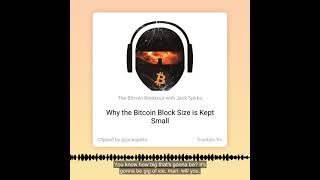 Why the Bitcoin Block Size is Kept Small - Clip